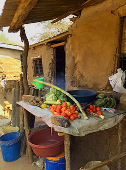 Bilder från Tanzania