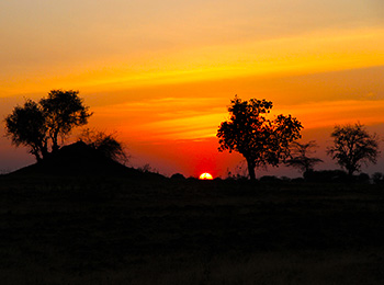 Bilder från Tanzania