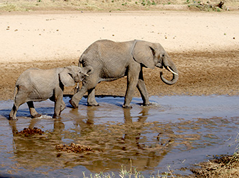 Bilder från Tanzania