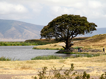 Bilder från Tanzania