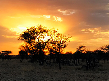 Bilder från Tanzania