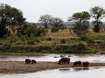 Bilder från Tanzania