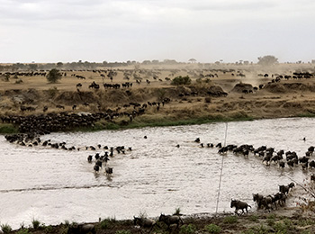 Bilder från Tanzania