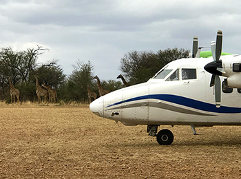 Bilder från Tanzania